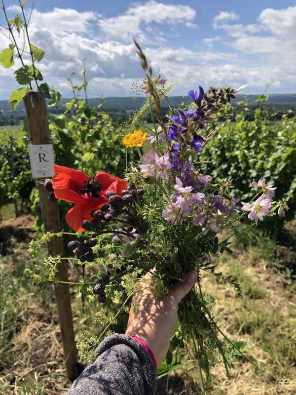 Rheingau Tasting am 05.07. mit Gastwinzerinnen