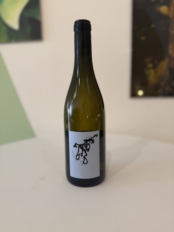 2023 Riesling Schiefer Hannes Bergdoll